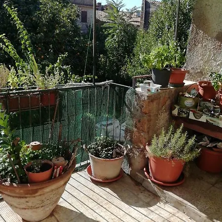 Relax Dal Caos Di Citta * Barbarano Romano